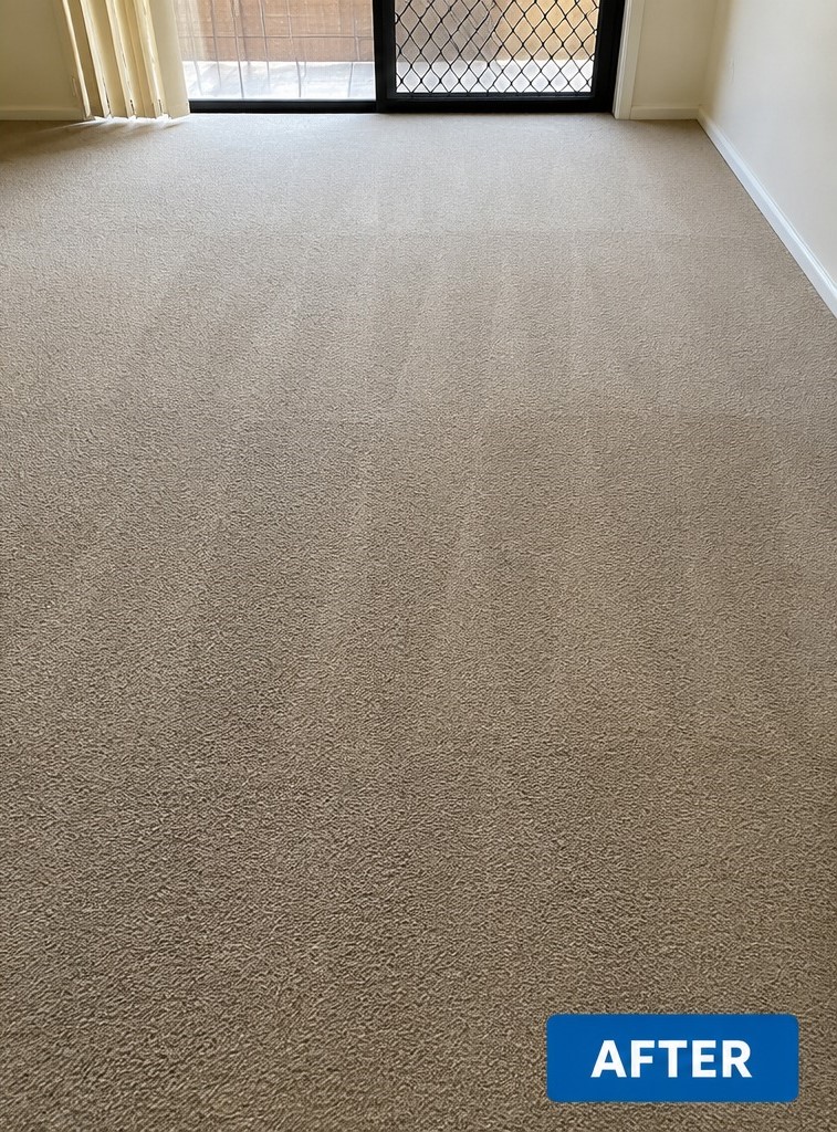 Carpet before cleaning